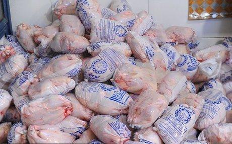 ظرفیت صادرات سالانه 14 هزار تن مرغ از کرمانشاه به خارج از کشور را داریم