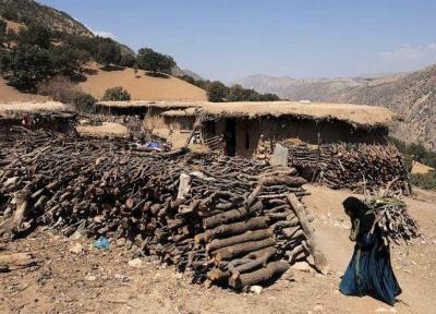 مدیرکل منابع طبیعی استان کرمان؛ جایگزینی سوخت مناسب در روستاهاالزامی است