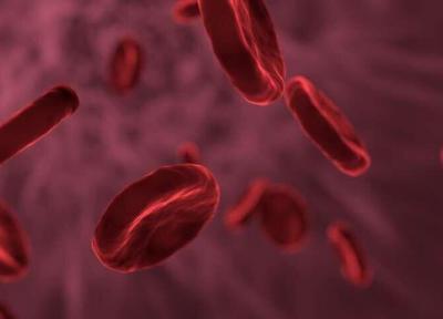 راه اندازی بانک سلول های بنیادی خون قاعدگی در ایران