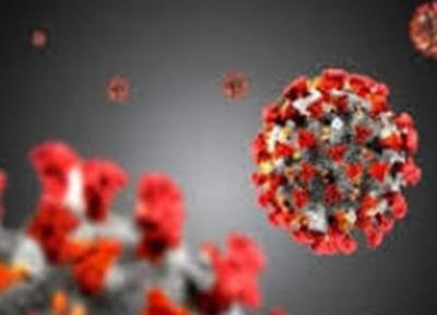 جهش های ویروس کرونا مشکل اصلی مردم، کاهش اثربخشی واکسن بر نوع آفریقای جنوبی