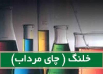خلنگ (چای مرداب) Ledum pal